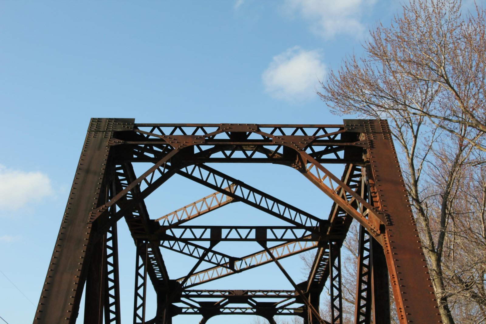 Portal bracing